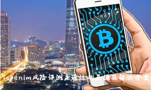 Tokenim风险评测未通过的原因及解决方案