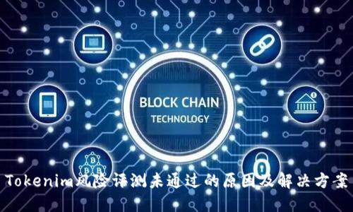 Tokenim风险评测未通过的原因及解决方案
