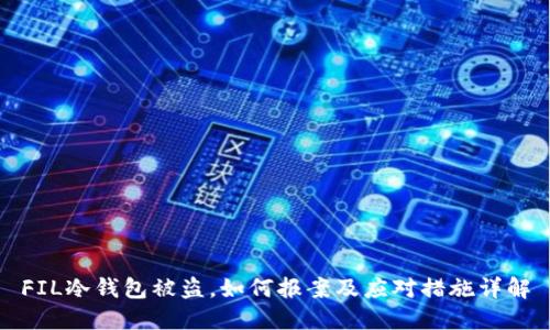 FIL冷钱包被盗,如何报案及应对措施详解