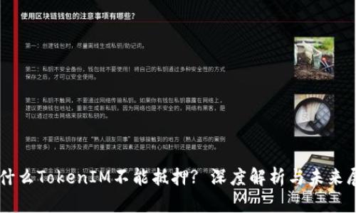 为什么TokenIM不能抵押? 深度解析与未来展望