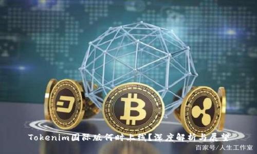 Tokenim国际版何时上线？深度解析与展望