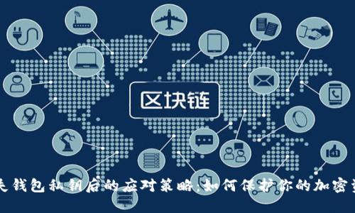 丢失钱包私钥后的应对策略：如何保护你的加密资产