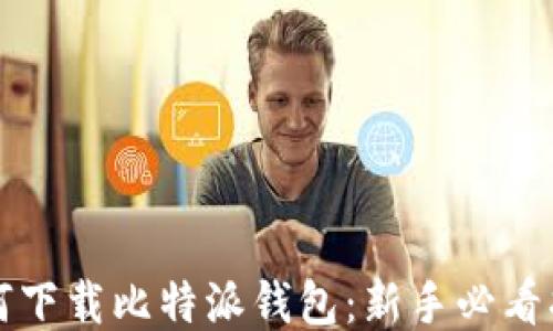 
如何下载比特派钱包：新手必看指南