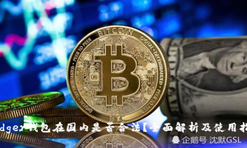 Ledger钱包在国内是否合法？全面解析及使用指南